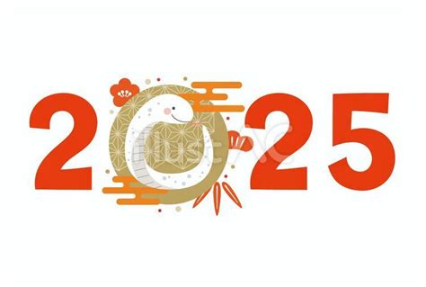 2025干支